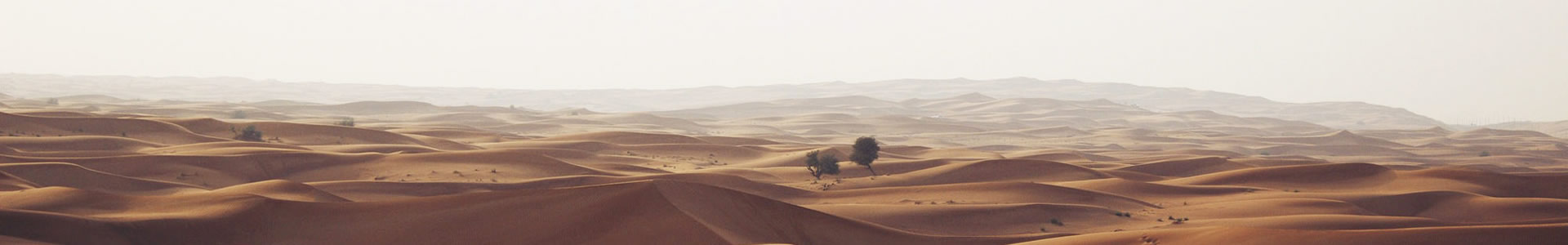 ɭܿƼ޹˾